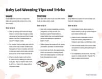 Preview image of Handout: Baby-Led Weaning Tips and Tricks