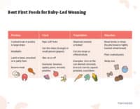 Preview image of Handout: Best First Foods for Baby-Led Weaning