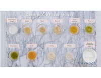 Preview image of Handout: Common First Foods - Purees