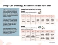 Preview image of Handout: Feeding Schedule for the First Few Weeks of BLW