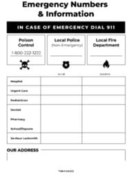Preview image of Handout: Emergency Numbers Handout