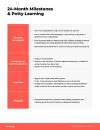 Preview image of Handout: 24-Month Milestones