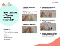 Preview image of Handout: How to Make a Vagina Healing Sandwich