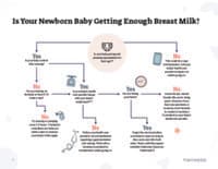 Preview image of Handout: How to Tell if your Baby is Getting Enough Breast Milk Flow Chart