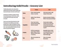 Preview image of Handout: Introducing Solids - Grocery List