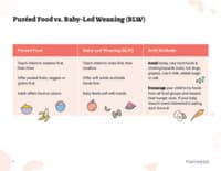 Preview image of Handout: Pureed Food vs. Baby-Led Weaning