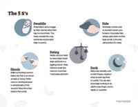 Preview image of Handout: The 5 S's